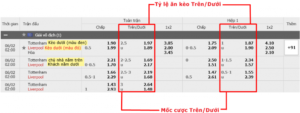 Thuật ngữ kèo Tài xỉu